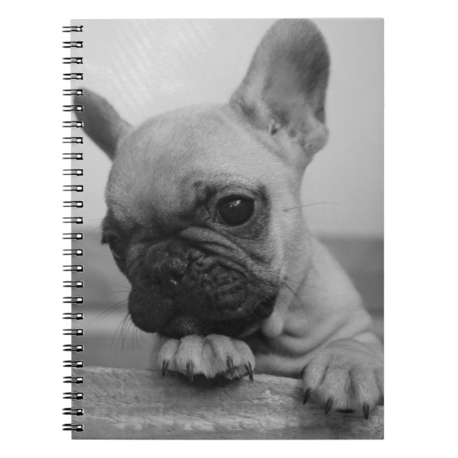 Caderno Espiral Frenchie puppy (Frente)