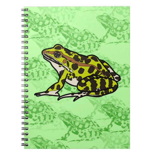 CADERNO ESPIRAL FROGS (Frente)