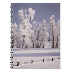 Caderno Espiral Frost cobriu árvores e cerca, Colorado