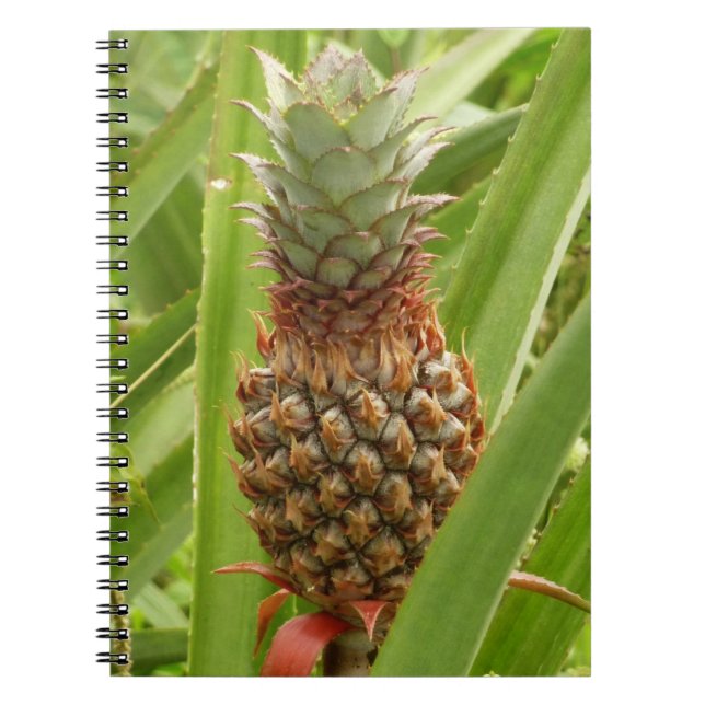 Caderno Espiral Fruta tropical de ananás selvagem na natureza (Frente)