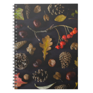 CADERNO ESPIRAL FRUTAS LOT NA SUPERFÍCIE PRETA