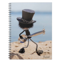 Fubby rock gitarist met hoed op het strand.