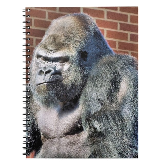 CADERNO ESPIRAL FUN GORILLA (Frente)
