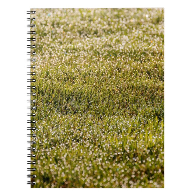 Caderno Espiral Fundo de primavera verde fresco, com bokeef (Frente)