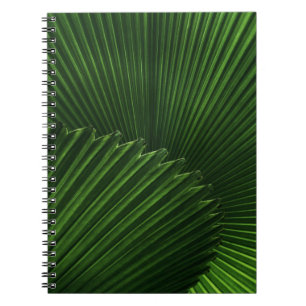 Caderno Espiral Fundo Folha