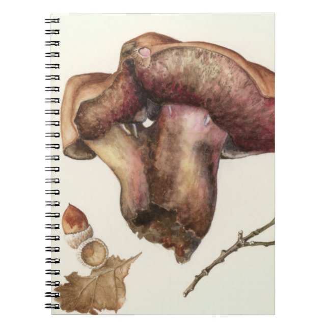 Caderno Espiral Fungo (Frente)