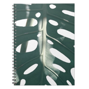 Caderno Espiral Funky Pale Green Swiss Cheese Plant