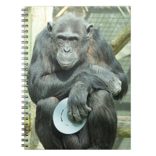 CADERNO ESPIRAL FUNNY CHIMPANZEE