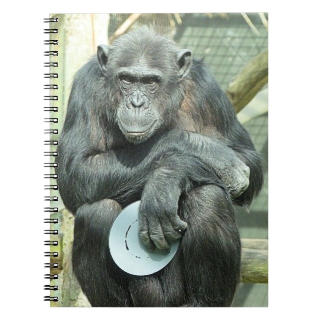 CADERNO ESPIRAL FUNNY CHIMPANZEE (Frente)