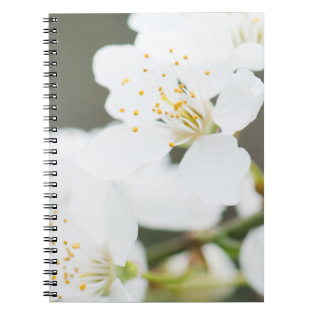 Caderno Espiral Fusão em Springtime (Frente)