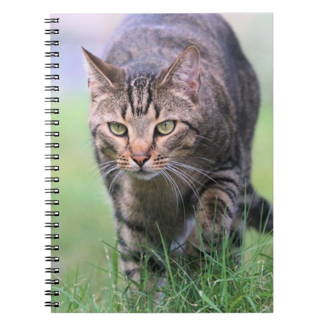 Caderno Espiral Gabe (Frente)