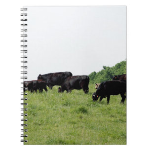 Caderno Espiral Gado Angus preto