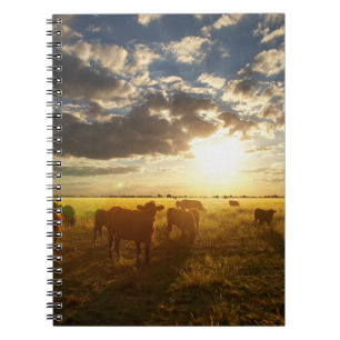 Caderno Espiral Gado no campo, por do sol