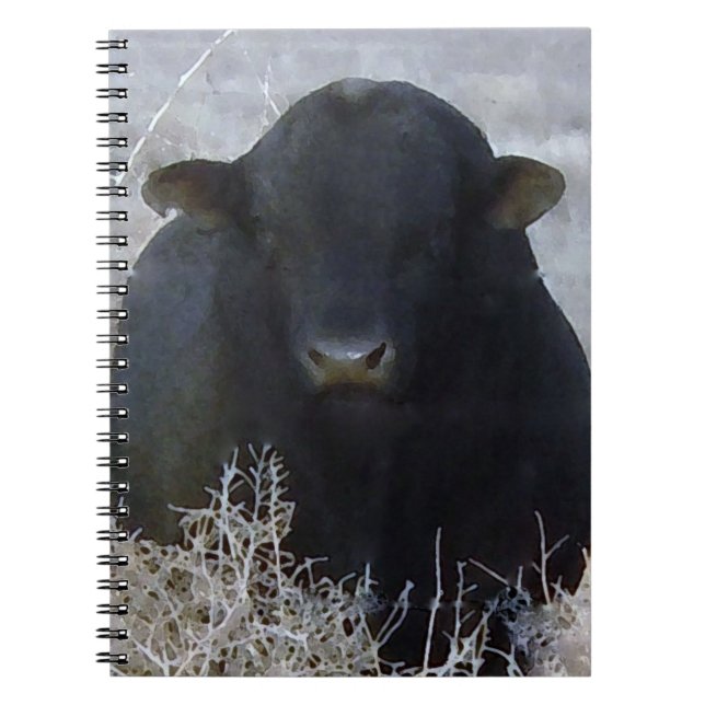 Caderno Espiral Gado preto Bull (Frente)