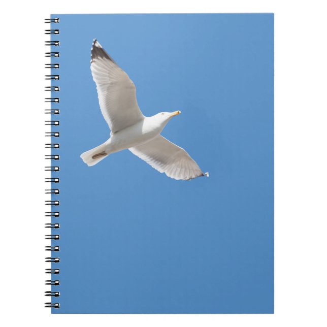 Caderno Espiral Gaivota (Frente)