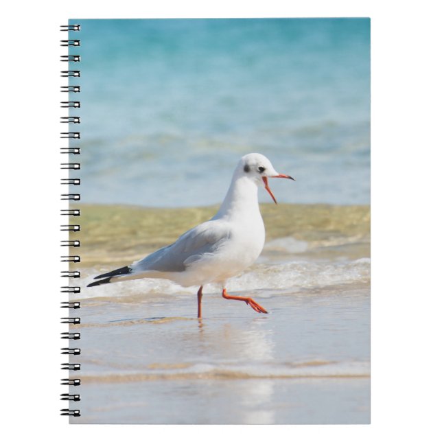 Caderno Espiral Gaivota (Frente)