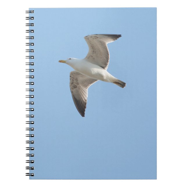 Caderno Espiral Gaivota (Frente)