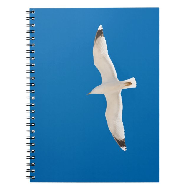 Caderno Espiral Gaivota (Frente)