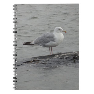 Caderno Espiral Gaivota grande