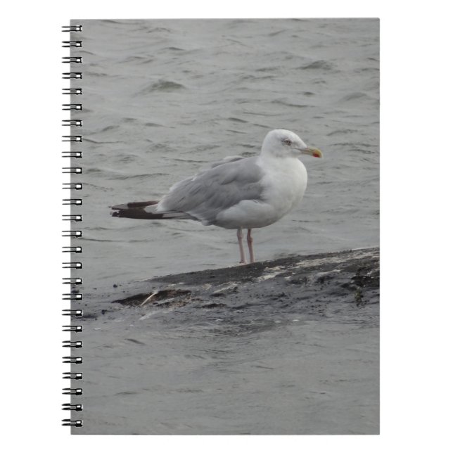 Caderno Espiral Gaivota grande (Frente)