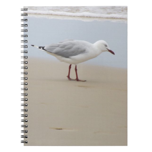 Caderno Espiral Gaivota pelo mar (Frente)