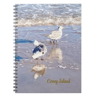 Caderno Espiral Gaivotas de Coney Island