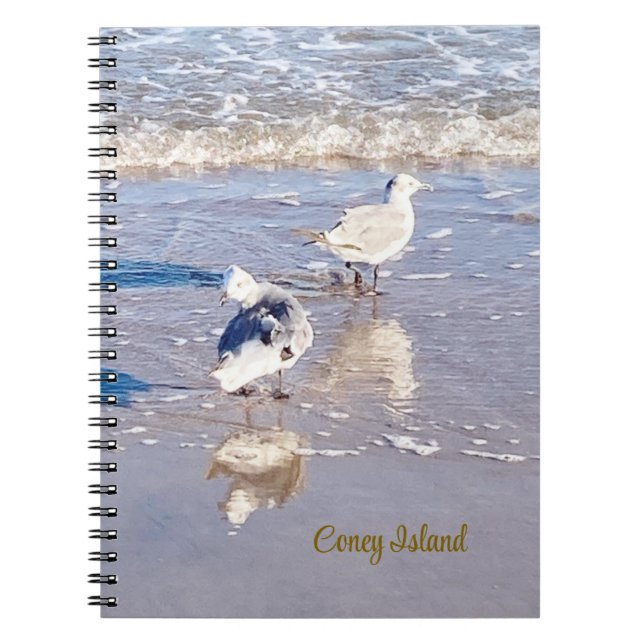 Caderno Espiral Gaivotas de Coney Island  (Frente)