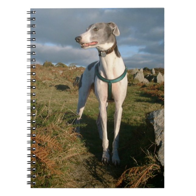 Caderno Espiral Galgo branco e azul (Frente)