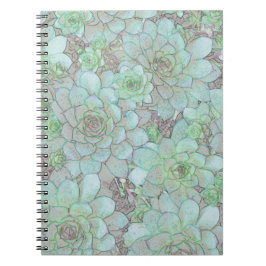 Caderno Espiral Galinhas E Pintinhos