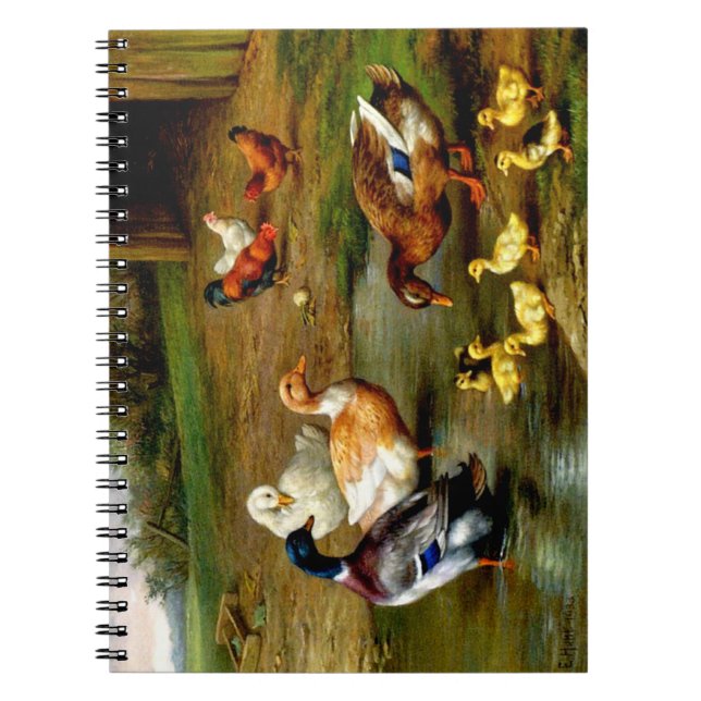 Caderno Espiral Galinhas, Patos E Patos No Bloco De Notas De Fazen (Frente)