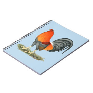 Caderno Espiral Galo Vermelho Azul Gamecock