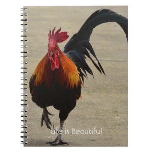 Caderno Espiral Galo Vermelho Pássaro Kauai (minha fotografia)