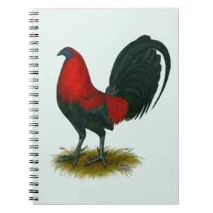 Caderno Espiral Gamecock Americano: Vermelho Marrom