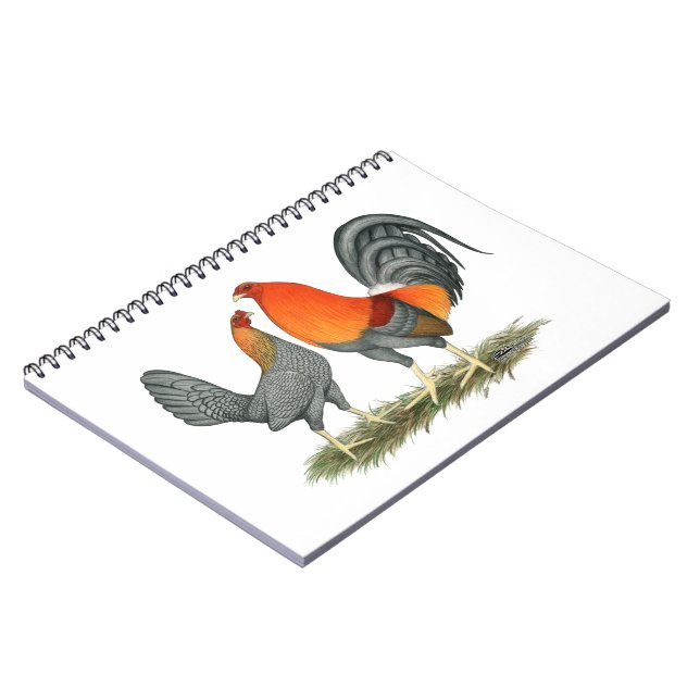 Caderno Espiral Gamefowl vermelho azul (Left Side)