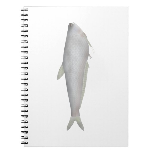 Caderno Espiral Gangetic Hairfin Anchovy  (Frente)