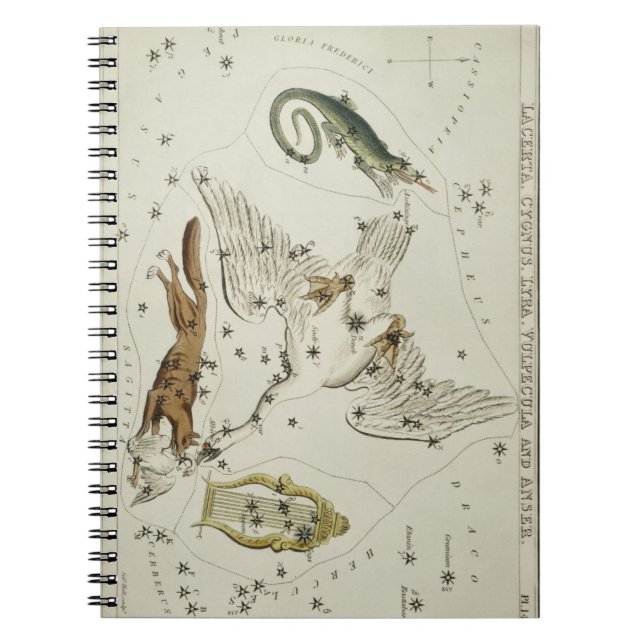 Caderno Espiral Ganso astronômico de Hall (1831) (Frente)