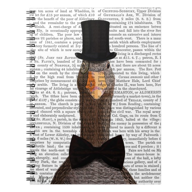 Caderno Espiral Ganso Distinto 2 (Frente)