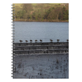 Caderno Espiral Gansos-do-Canadá Todos em uma Linha