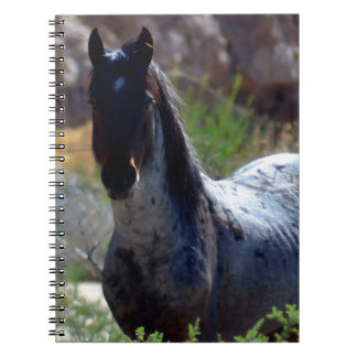 Caderno Espiral Garanhão Selvagem em Utah