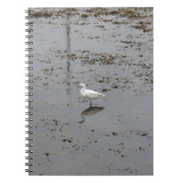 Caderno Espiral Garça-branca-pequena