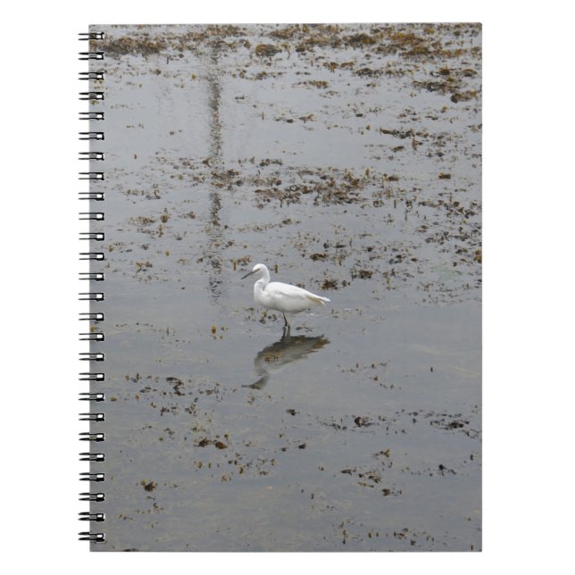 Caderno Espiral Garça-branca-pequena (Frente)