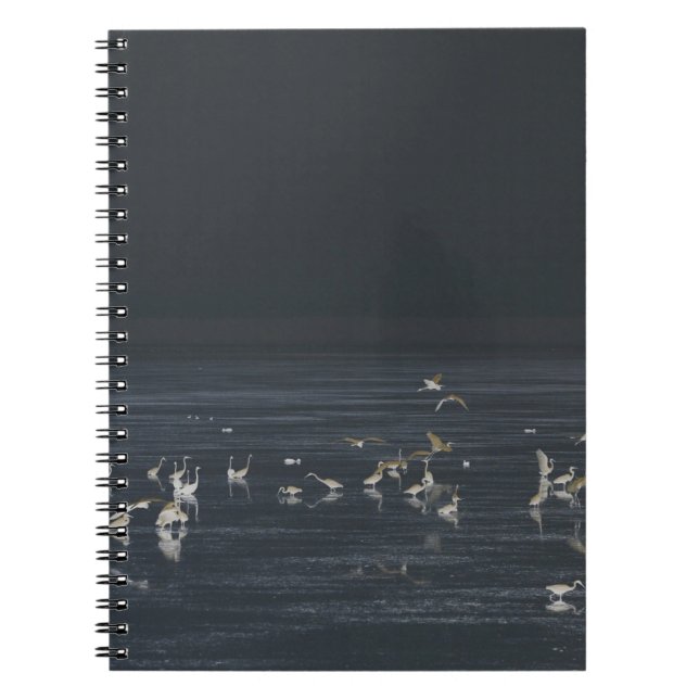 Caderno Espiral Garças No Oceano Azul Meia-Noite (Frente)