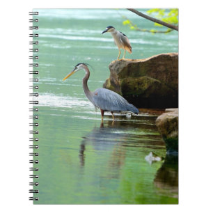Caderno Espiral Garças-reais
