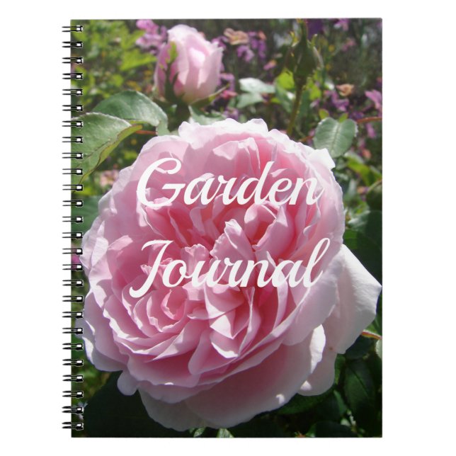 Caderno Espiral Garden Journal Pink Rose Floral Flowers Notebook (Frente)
