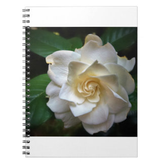 Caderno Espiral Gardenia Branca