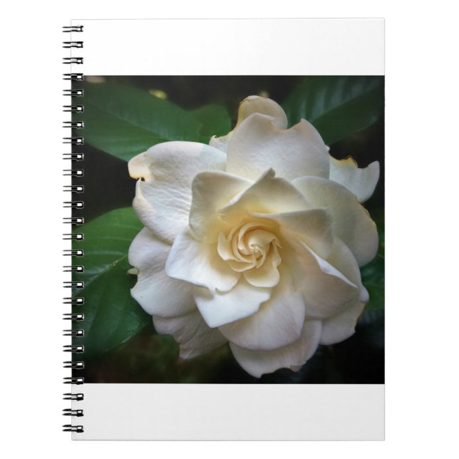Caderno Espiral Gardenia Branca (Frente)