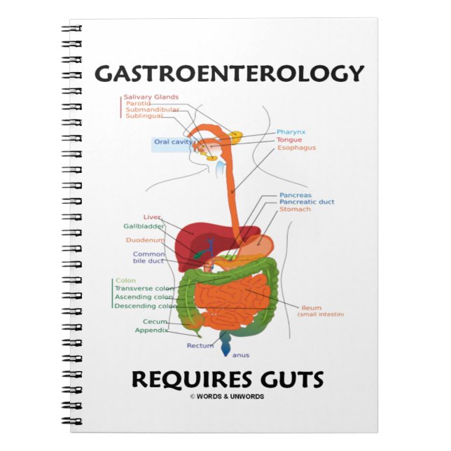 Caderno Espiral Gastroenterologia Requer Sistema Digestivo Guts (Frente)