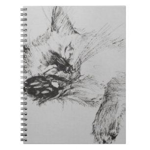 Caderno Espiral Gatinho 'Baby