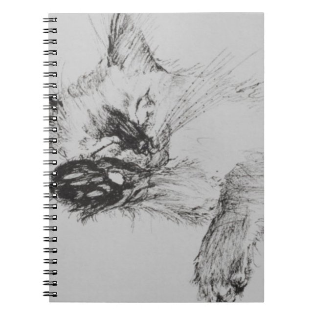 Caderno Espiral Gatinho 'Baby (Frente)