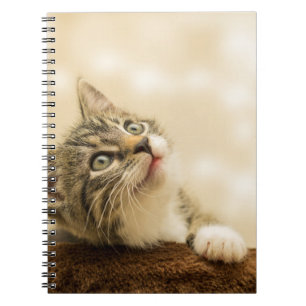 Caderno Espiral Gatinho Bonito com Pata Estendida